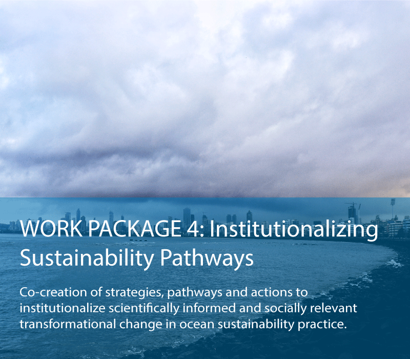 Work Package 4: Institutionalizing  Sustainability Pathways