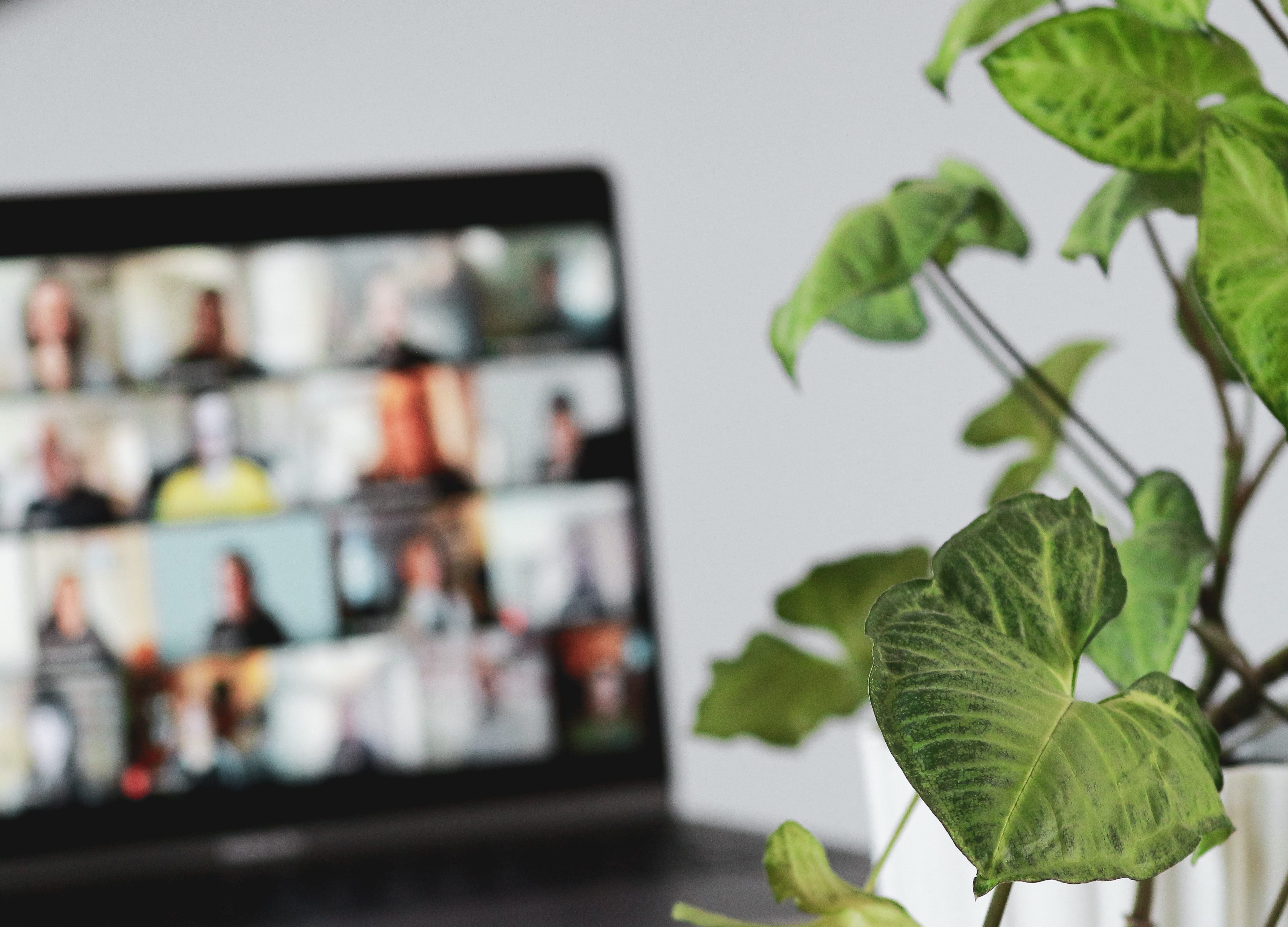 Online meeting. Photo: Sigmund/Unsplash